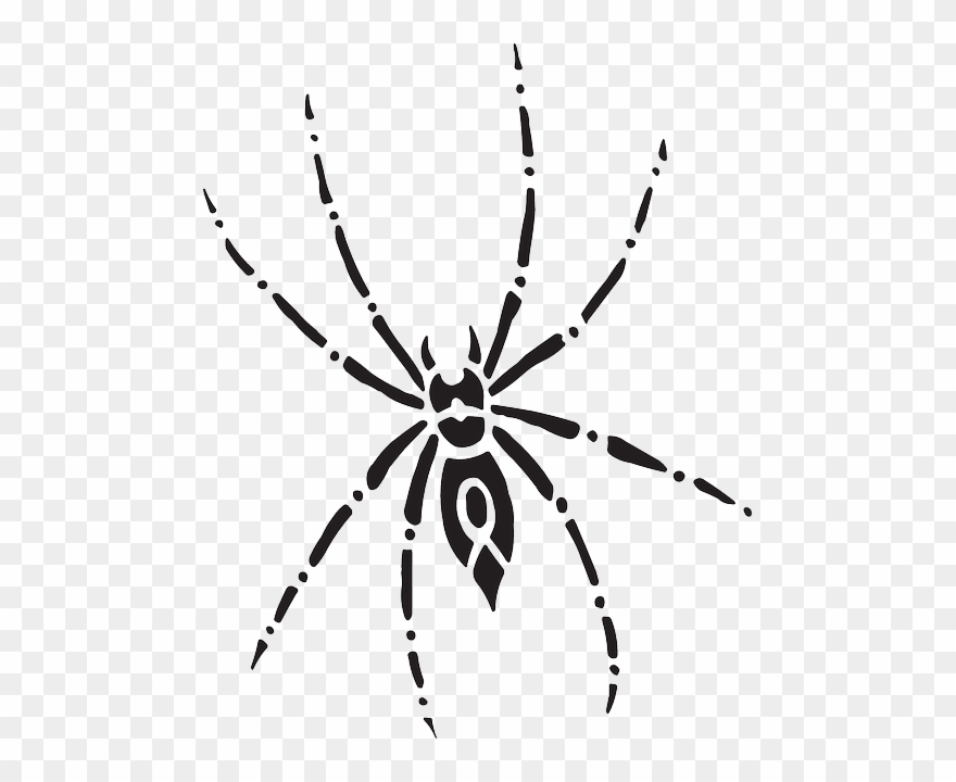 Arachnid Spider, Body, Eight, Art, Legs, Arachnid - Spider Top View Clipart