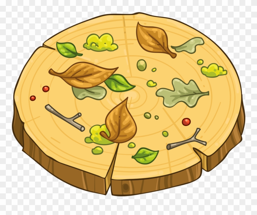 World's First Raw Pizza - Tortoise Clipart
