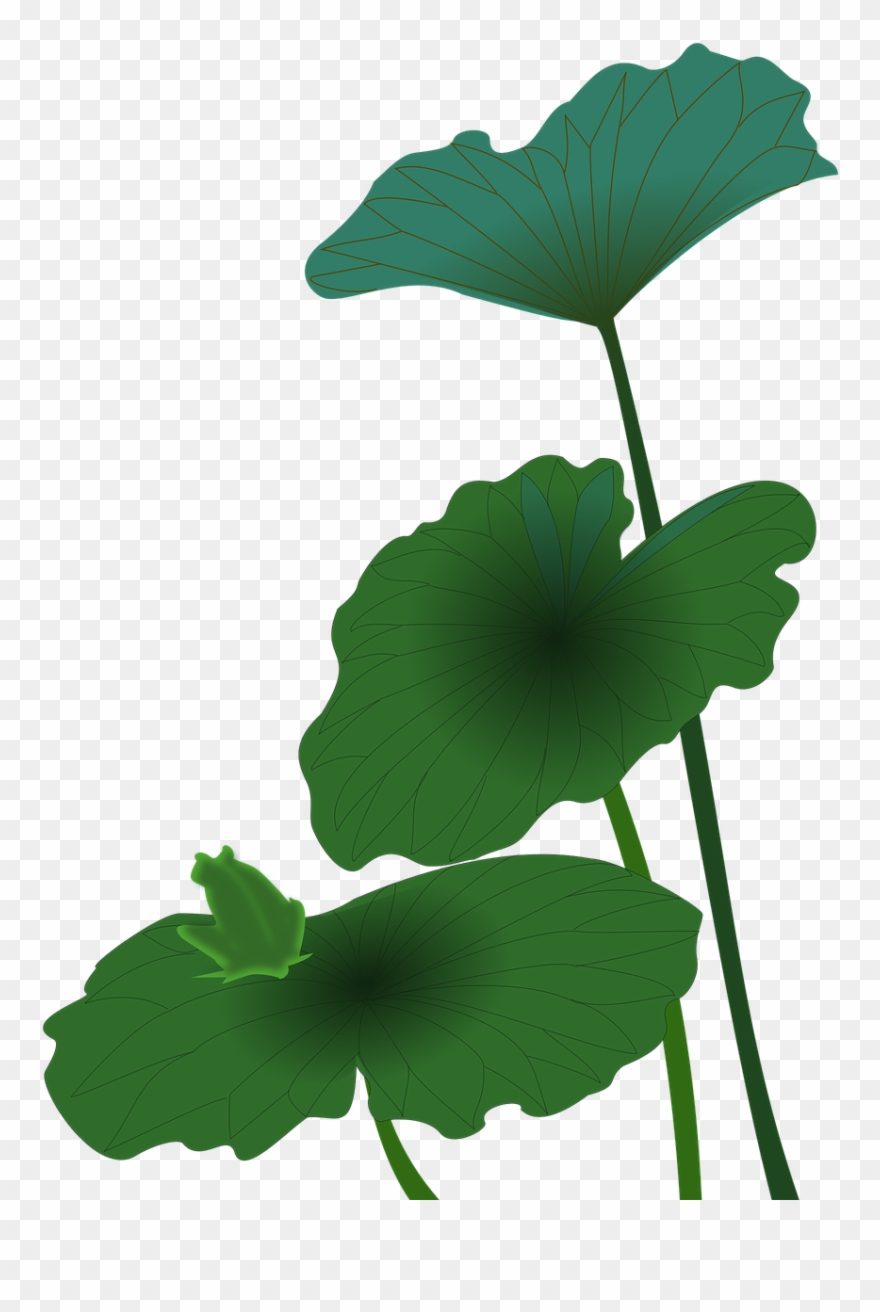 Lotus Logo Green Png Clipart