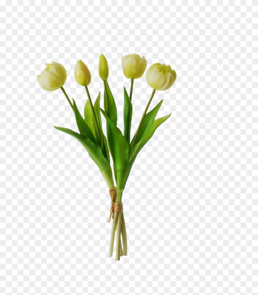 Artificial Tulips In A Bundle Clipart
