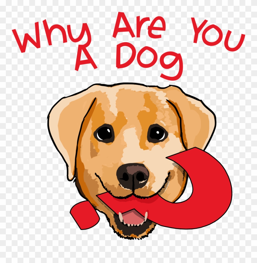 Towel Clipart Dog - You A Dog - Png Download