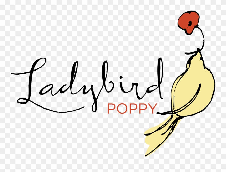 Lady Bird Clipart