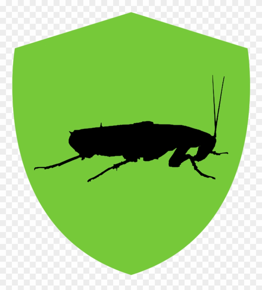 Cockroaches - Illustration Clipart