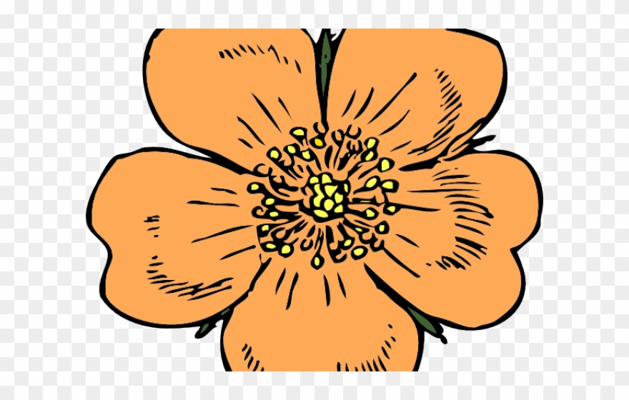 Apricot Clipart Peach Blossom - Apple Blossom Clip Art - Png Download