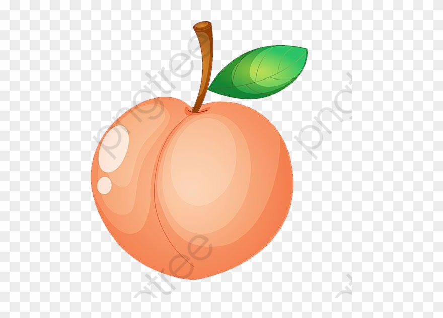 Peach Clipart Fruit - Png Download
