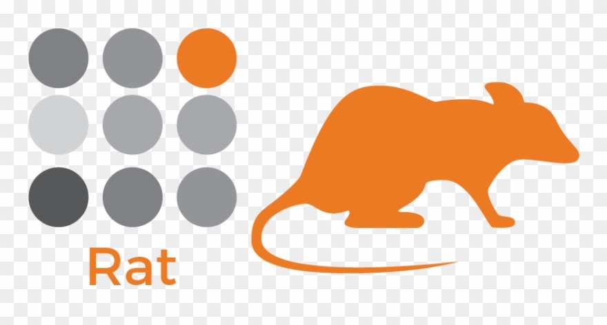 Tasks Beyond The Assay - Transparent Rat Silhouette Png Clipart