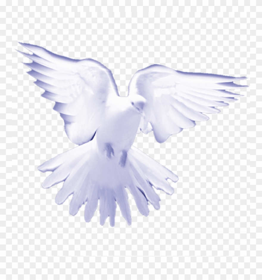 Free Png White Birds On Heaven Png Image With Transparent - Transparent White Dove Holy Spirit Png Clipart