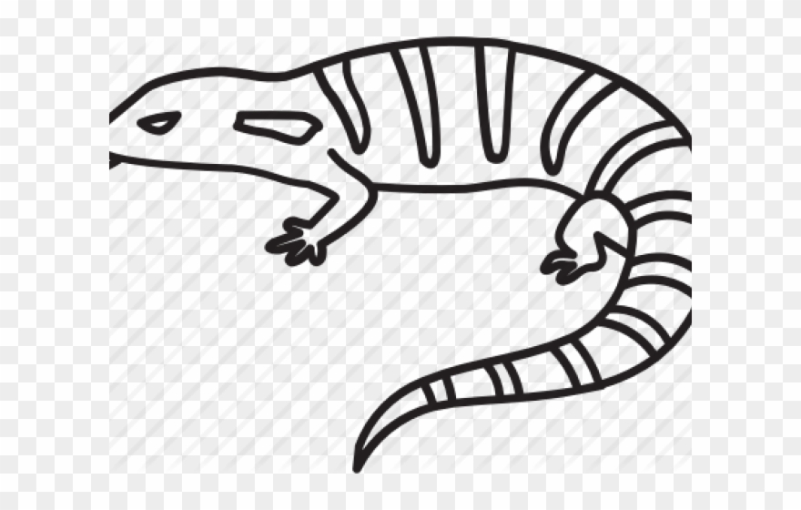 Goanna Clipart Blue Tongue Lizard - Png Download