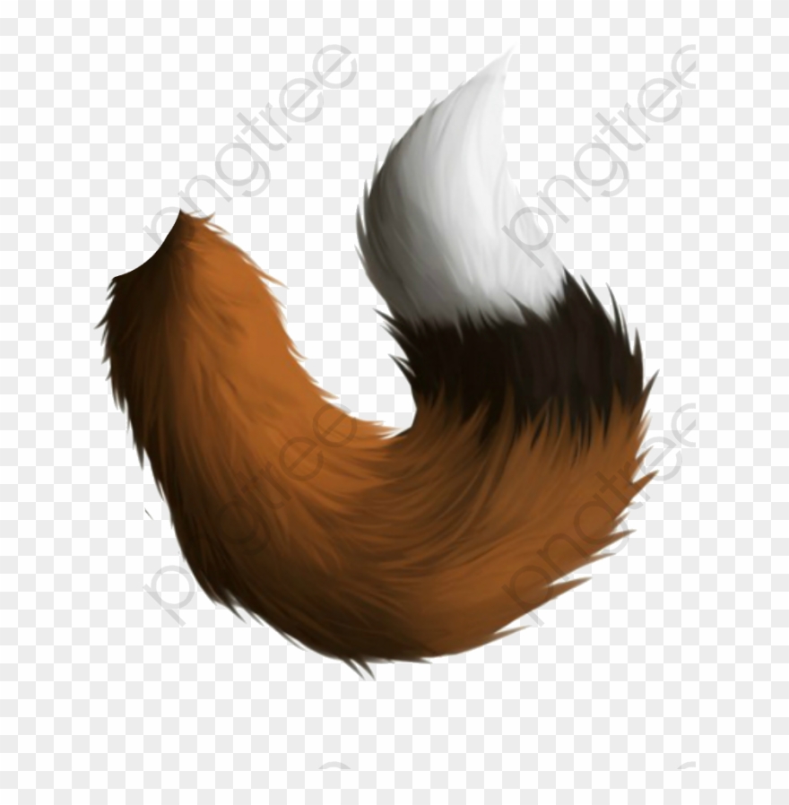 Fox Tail Clipart - Furry Tail Png Transparent Png