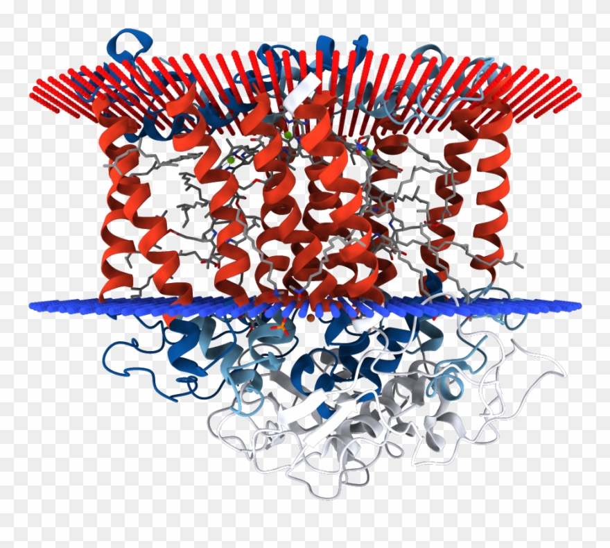 1f6n - Graphic Design Clipart