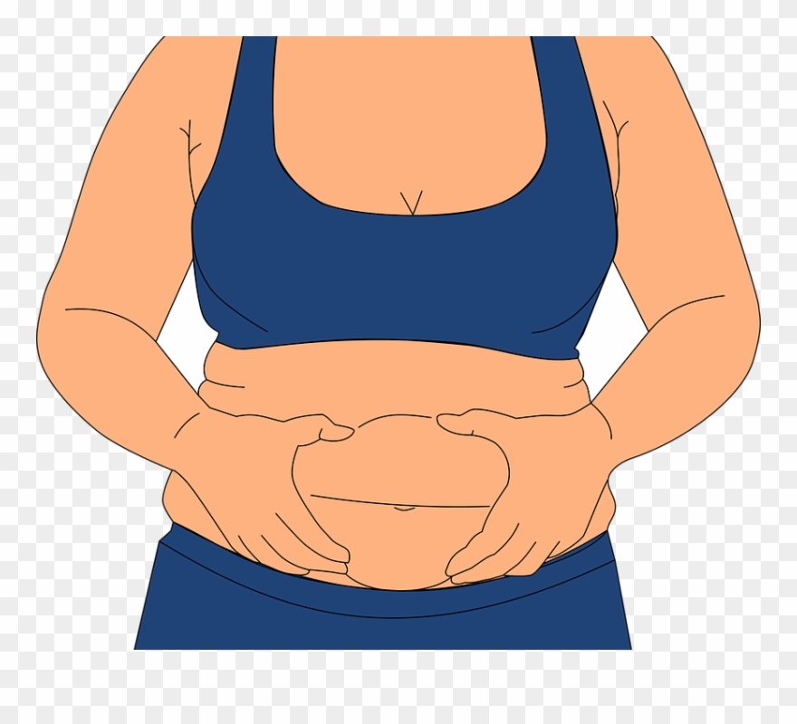 Fat Diet Update - Fat In A Human Body Clipart