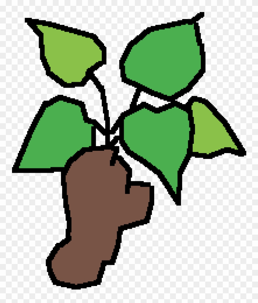 Wild Yam Clipart