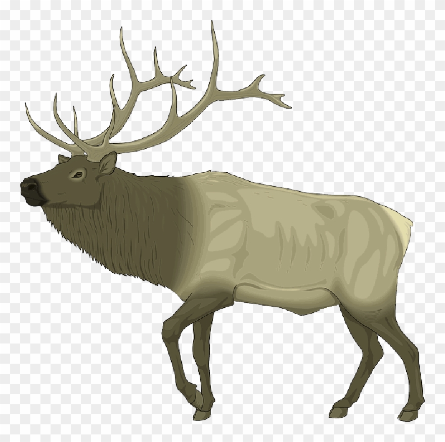 Elk Clip Art Free , Png Download - Elk Clip Art Transparent Png