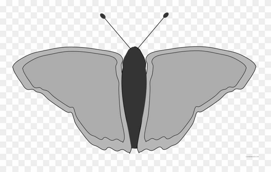Butterfly Animal Free Black White Clipart Images Clipartblack - فراشة برتقالية كرتون - Png Download