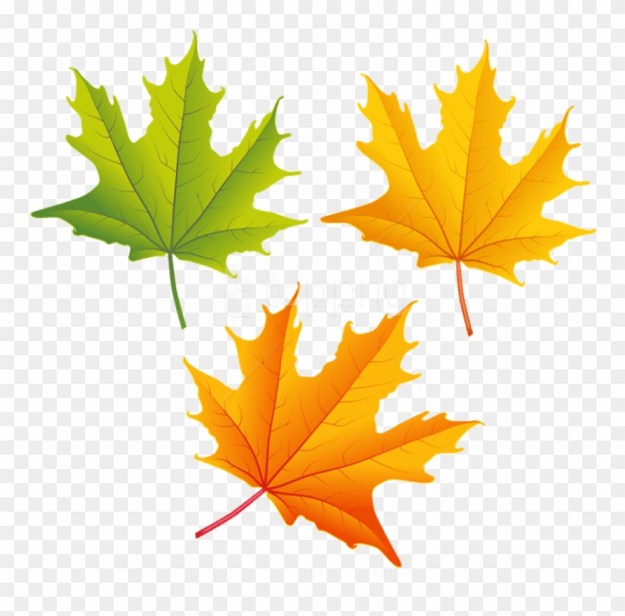 Fall Leaves Clipart High Resolution - Transparent Fall Leaves Clip Art - Png Download