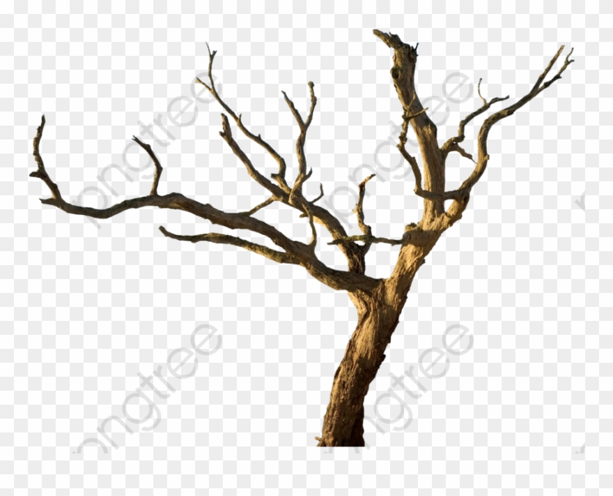Tree Trunk Clipart Cartoon - Dead Tree Png Transparent Png