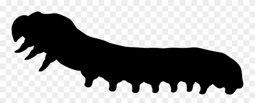 Png File - Worm Clipart