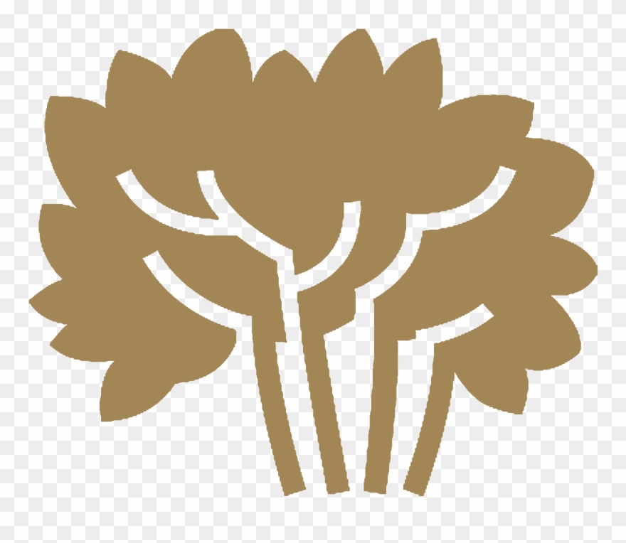 Placeholder - Illustration Clipart