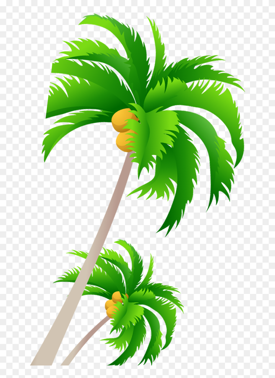 Free Palm Tree Vector Clipart