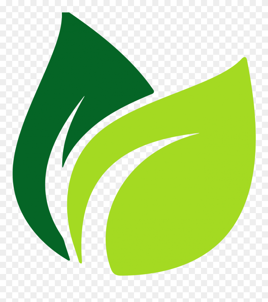 Leaves Clipart Green Tea Leaf, Leaves Green Tea Leaf - Green Leaf Png Vector Transparent Png