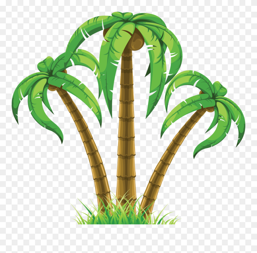 Palm Tree Clip Art - Tropical Tree Clipart - Png Download