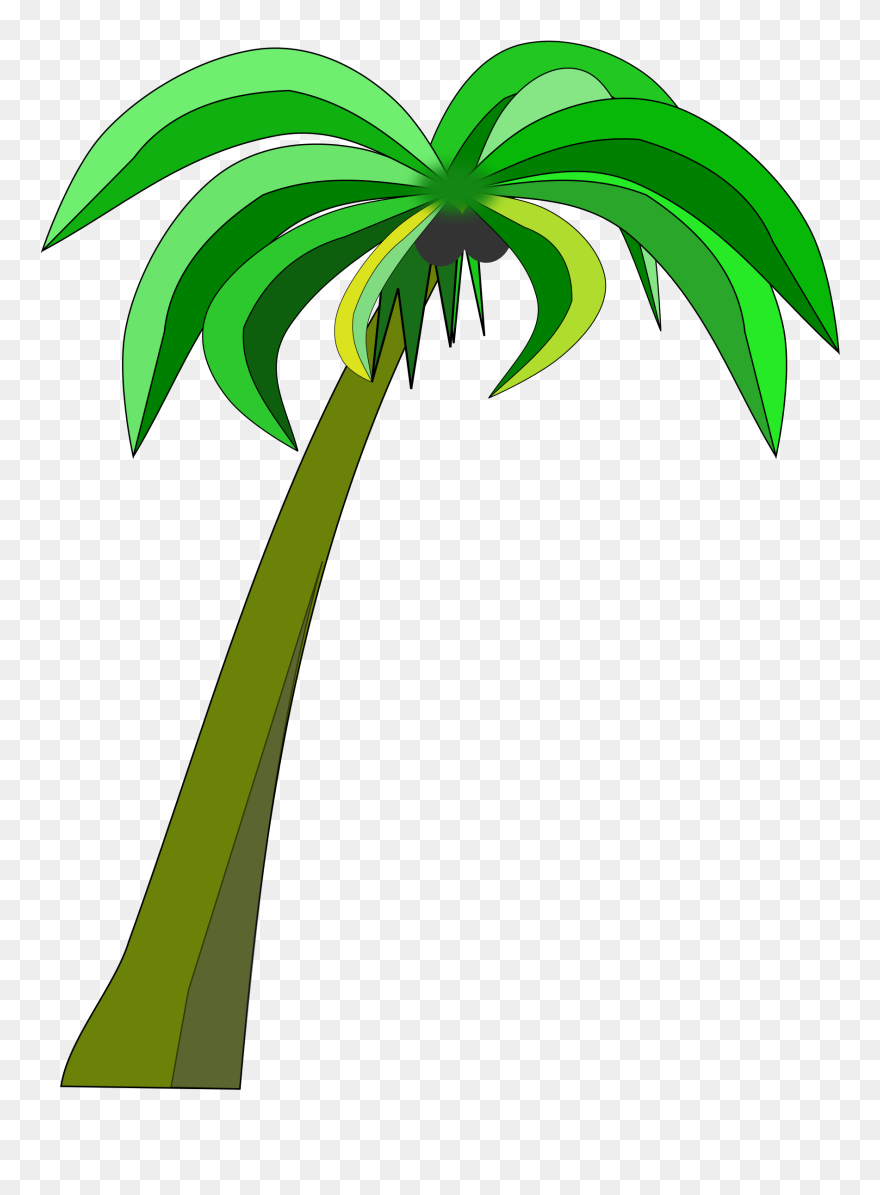 Palm Tree Clipart Palm Tress - Clip Art Coconut Palm - Png Download