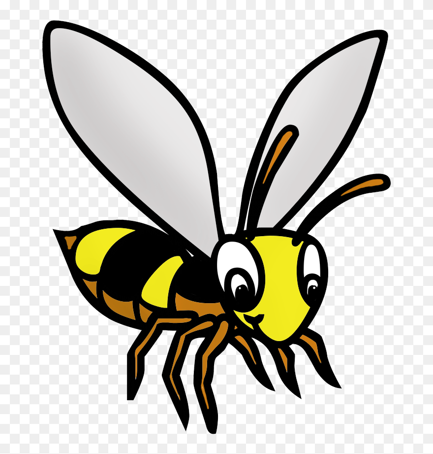 Bee Drawing In Color - Bee Cliparts Black And White - Png Download