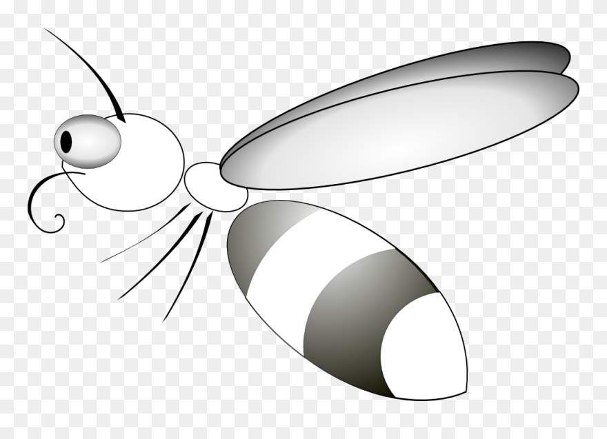 Net » Clip Art » Bee 14 Black White Line Art Svg - Bug Clip Art - Png Download
