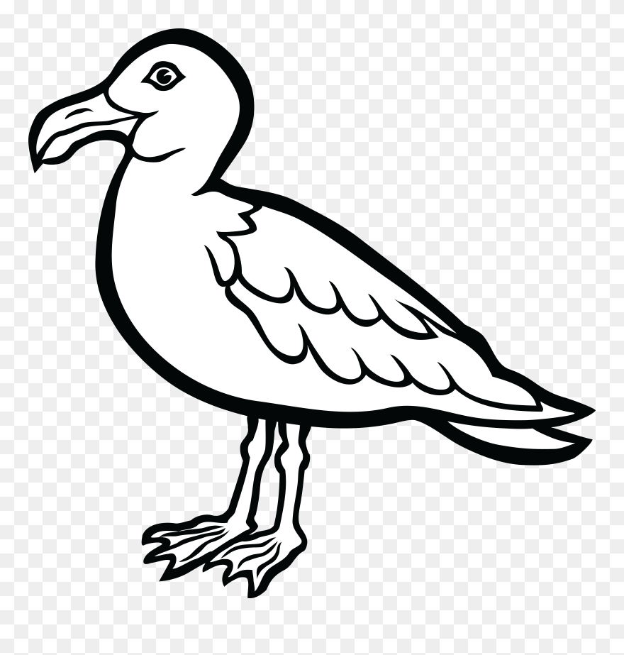 Clip Art Water Bird Clipart Clipground Lemonize - Seagull Clipart Black And White - Png Download