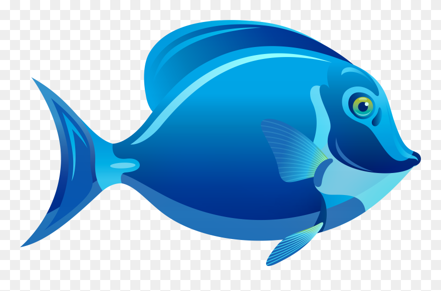 Blue Fish Png Clipart - Blue Fish Clipart Transparent Png