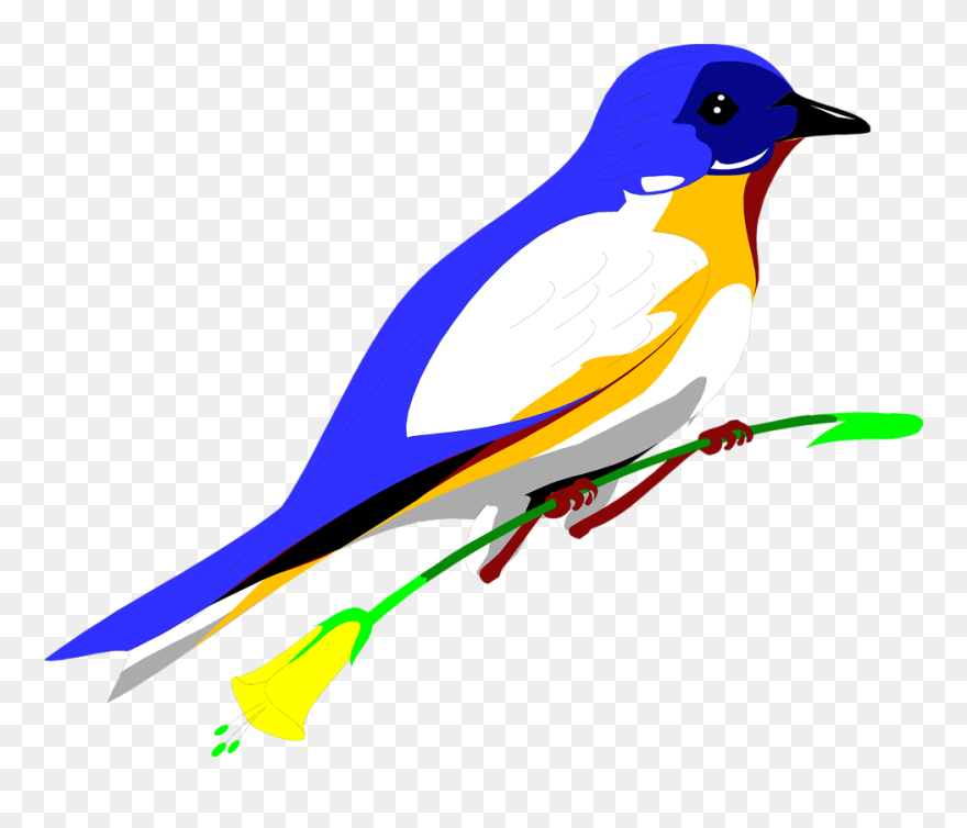 Flying Blue Jay Png Art - Parrot Transparent Background Free Clipart