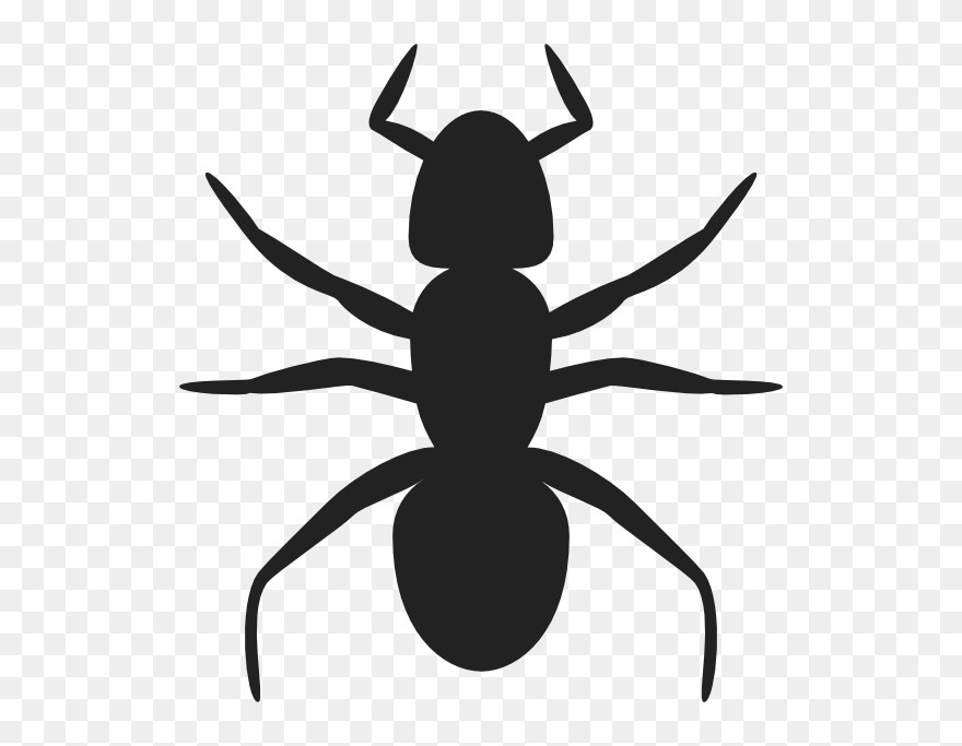 Ant Clip Art - Png Download