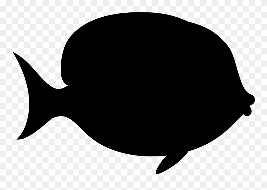 Clip Art Fish Silhouette Black M - Png Download