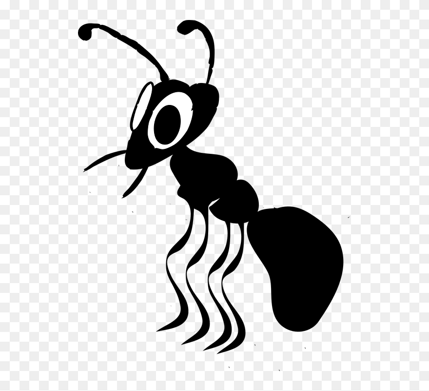 Hormiga Dibujo Png - Ant Cartoon Free Clip Art Transparent Png