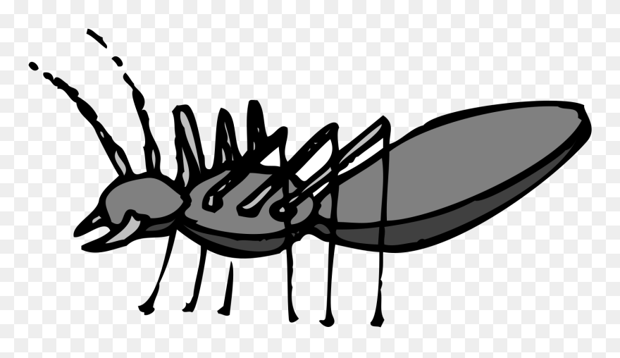 Gray Ant Side View Png Icons - Ant Clipart