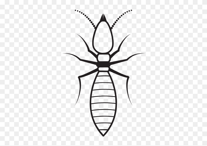 Clip Art - Png Download