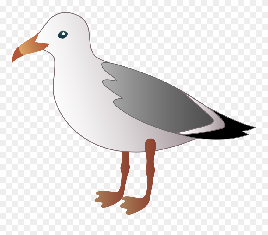Free Seagull Cliparts, Download Free Clip Art, Free - Seagull Clipart - Png Download