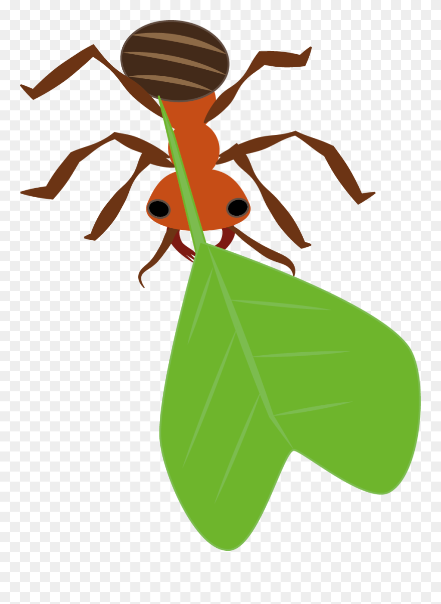 Clip Art - Png Download