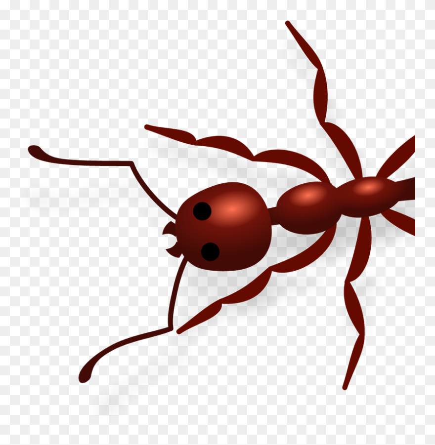 Wasp Clipart