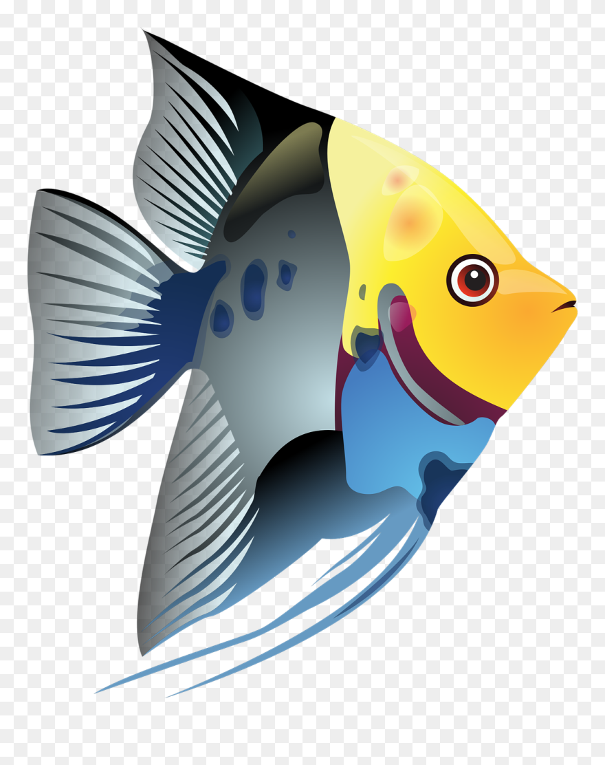 Clipart Tropical Fish - Png Download