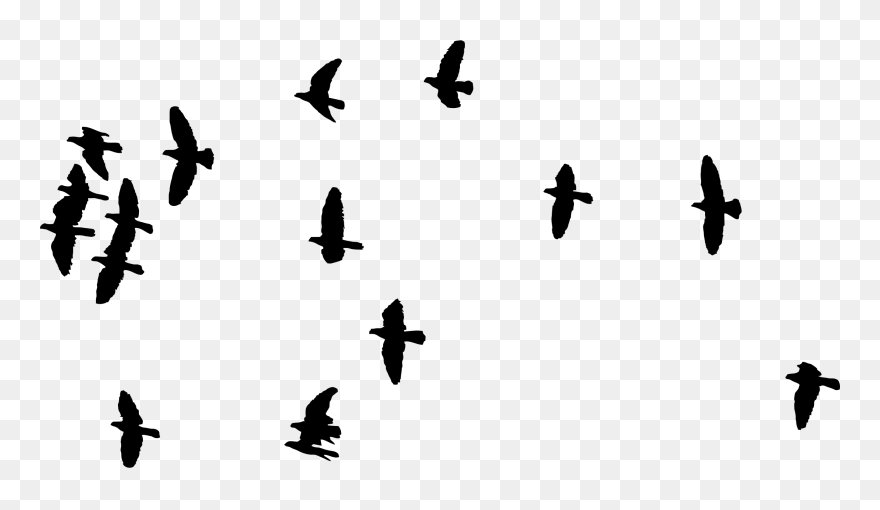 Flock Of Birds Silhouette Icons Png - Bird Silhouette Svg Clipart