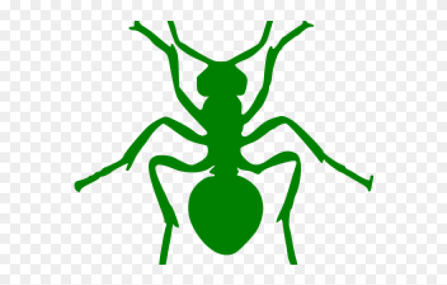 Transparent Ant Silhouette Clipart