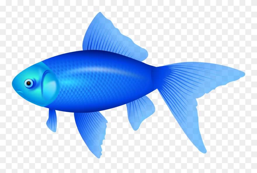 The Blue Fish Clip Art - Fish Clipart Png Transparent Png