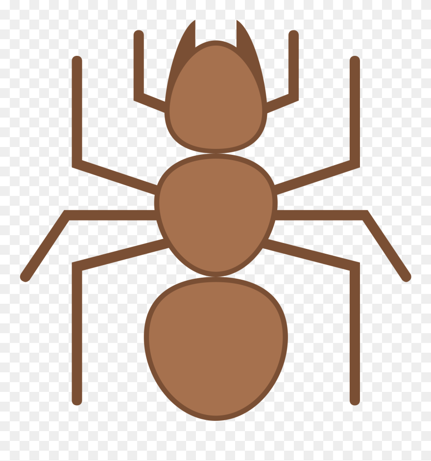 Transparent Ant Clip Art - Icon - Png Download