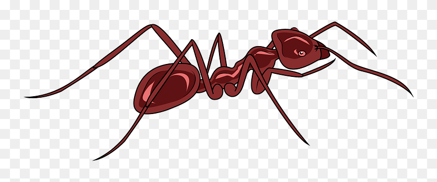 Meat Ant Clipart - Carpenter Ant - Png Download