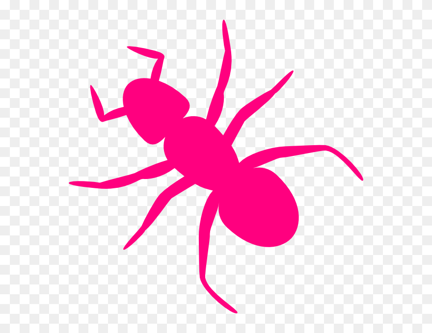 Ant Clip Art - Png Download
