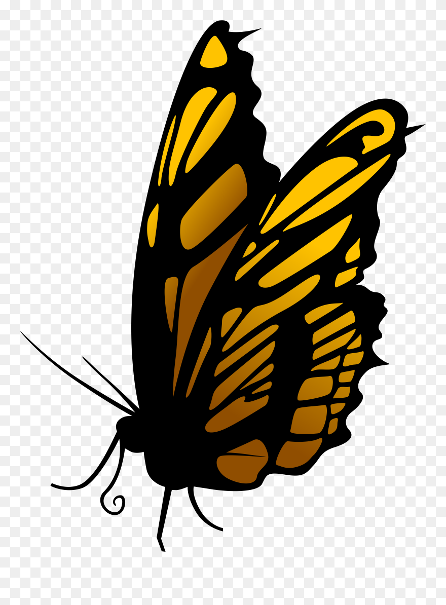 Butterfly Png Clipart Transparent Png