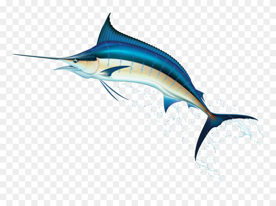 Sword Fish Clipart Clip Art Freeuse Swordfish Png Clip - Marlin Fish Png Transparent Png