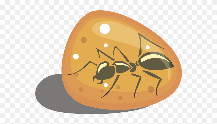 Ant In Amber-1576590613 - Amber Clipart - Png Download