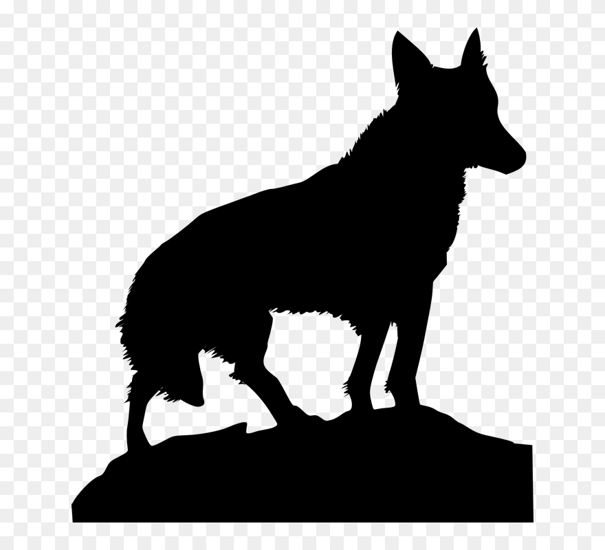 Transparent German Shepherd Clipart - Wolf Clip Art - Png Download